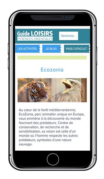 Site internet et web-app