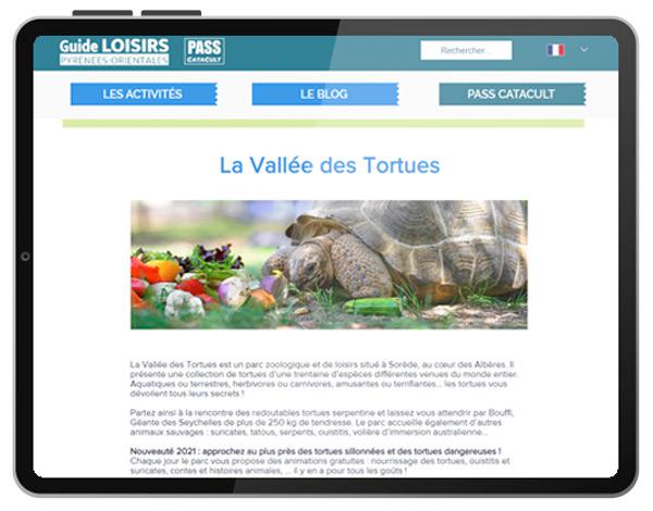 Site internet et web-app